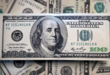 Consultoras anticipan un dólar a $1.500 en diciembre y un 2025 que cierra con suba del 47%