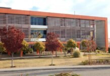 Coparticipación: San Luis registró una caída real del 5,6% en marzo y del 7,2% en el acumulado de 2026