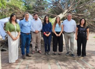El Municipio abrió el concurso para transformar el retoño del Pino de San Lorenzo en obras de arte y dio detalles de los festejos por el Día del Inmigrante