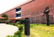 San Luis sufrió una caída real del 6,3% interanual en la coparticipación de noviembre, pero el acumulado de 2025 tiene un mínimo saldo positivo