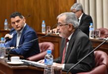 El Senado aprobó un proyecto del PJ para regular la inteligencia artificial, el primero de la oposición en más de dos años y medio