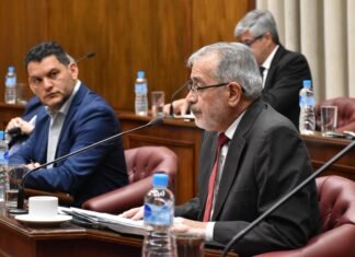 El Senado aprobó un proyecto del PJ para regular la inteligencia artificial, el primero de la oposición en más de dos años y medio