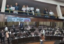 Con la presencia de abogados en contra de la reducción de la feria, el oficialismo se quedó sin quórum para la ley de activos digitales