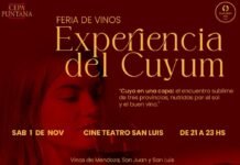 Cata de los mejores vinos cuyanos en el Cine Teatro