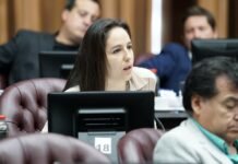 Diputados: media sanción a la ley de prevención de ludopatía digital, pero el poggismo silenció a la principal impulsora de la iniciativa