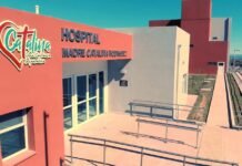 Lo detuvieron por apuñalar a su propia madre