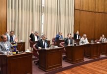 El Senado sancionó la Ley Impositiva Anual 2026