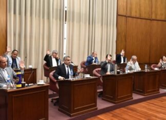 El Senado tratará un proyecto para ampliar a dos años el mandato del defensor del pueblo