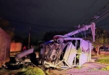 Falla en los frenos provocó que un camión recolector de basura chocara un poste y volcara