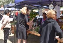 Por las Fiestas, la Feria de Emprendedores de plaza de los Halcones se realizará los martes 23 y 30 de diciembre