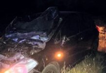 Un auto chocó contra dos vacunos en la ruta nacional 20
