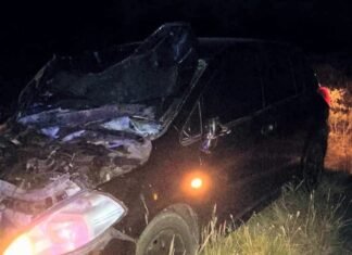 Un auto chocó contra dos vacunos en la ruta nacional 20