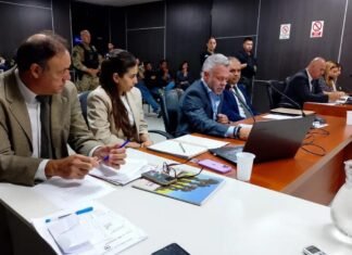 Homicidio de Maximiliano Chávez: condenaron a prisión perpetua a Brisa Brizuela