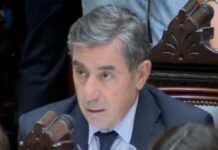 “Gato” Fernández sobre la reforma laboral: “Esta ley tiene el destino de la inconstitucionalidad en la mayoría de su norma”