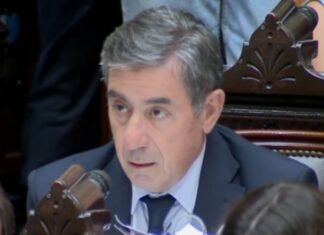 “Gato” Fernández sobre la reforma laboral: “Esta ley tiene el destino de la inconstitucionalidad en la mayoría de su norma”