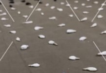 La Policía incautó 172 dosis de cocaína y detuvo a un hombre