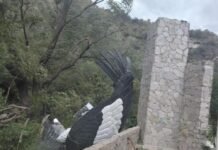 Otra vez sopa: se volvió a caer la estatua del cóndor en Potrero de los Funes