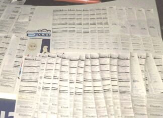 Controles en El Trapiche: 20 alcoholemias positivas y 58 infracciones