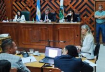 Juicio a Cintia Ramírez: la perito tasó el colectivo en $114 millones, generando durísimas críticas de la defensa