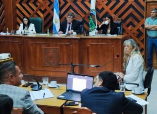 Juicio a Cintia Ramírez: la perito tasó el colectivo en $114 millones, generando durísimas críticas de la defensa