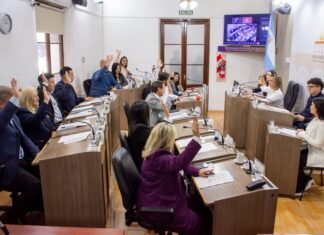 La cantidad de empleados políticos del Concejo Deliberante capitalino llegó a 100, incluyendo múltiples familiares