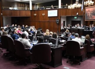 Increíble: la Cámara de Diputados definió las comisiones de trabajo 2026 en la primera sesión del año