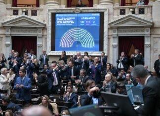 Ley de Glaciares: los diputados Almena, Álvarez y Becerra votaron a favor, Ali y Fernández en contra