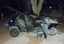 Un joven murió tras chocar en auto contra un árbol en Unión