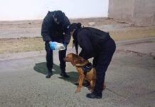 Una bebé de 9 meses fue localizada sana y salva tras un rastreo de un can de la Policía