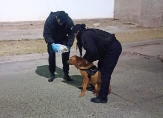 Una bebé de 9 meses fue localizada sana y salva tras un rastreo de un can de la Policía