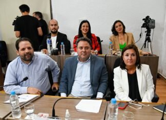 Concejo Deliberante: la Municipalidad de San Luis quiere comprar ocho vehículos, pero necesita el apoyo del bloque peronista