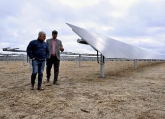 Calicanto Solar presentó los avances de su proyecto de generación de energía para 80.000 hogares