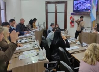 Concejo Deliberante: aprobó una ordenanza en 14 sesiones y más de 30 declaraciones de interés y homenajes