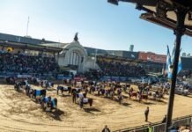 El Gobierno convoca a productores y artesanos de San Luis para participar de la Expo Rural 2026