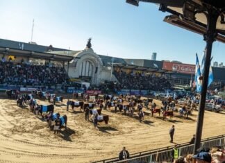 El Gobierno convoca a productores y artesanos de San Luis para participar de la Expo Rural 2026