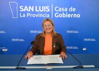 Violencia de género: brindaron contención a 786 personas e instalaron 655 botones de alerta temprana