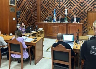 Lo condenaron a cuatro años y medio de prisión por cuatro intentos de robo