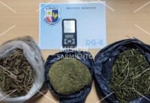 San Luis: la Policía incautó marihuana valuada en 6 millones de pesos y detuvo a un hombre