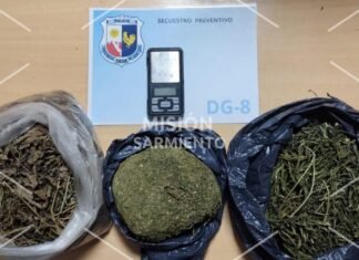 San Luis: la Policía incautó marihuana valuada en 6 millones de pesos y detuvo a un hombre