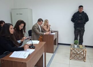 Homicidio del ex policía federal: la Fiscalía solicitó 20 años de prisión