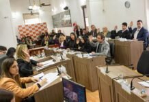 El Concejo Deliberante aprobó siete declaraciones de interés y no trató ninguna ordenanza
