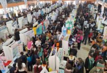 Dieron a conocer los 20 proyectos que avanzaron a la instancia nacional de la Feria de Ciencias