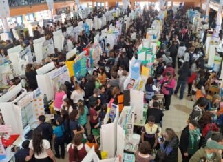 Dieron a conocer los 20 proyectos que avanzaron a la instancia nacional de la Feria de Ciencias