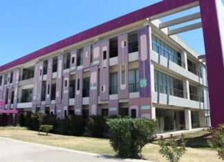 Salud confirmó un caso de encefalitis herpética en un niño de 11 años y aclaró que no corresponde cerrar escuelas