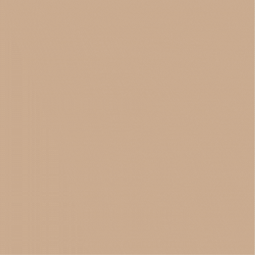 spot_img