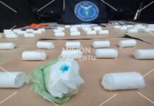 Incautaron droga valuada en $22 millones y detuvieron a dos hombres en el sur de la ciudad de San Luis