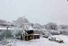 La nieve llegó a gran parte de San Luis: rutas cortadas, asistencia por el frío y demoras en la carrera del TC
