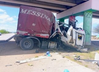 Un camionero murió tras impactar contra las columnas del puente de acceso a Balde