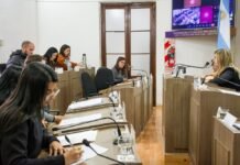 El Concejo Deliberante aprobó la ordenanza para implementar sistemas de IA en la Municipalidad de San Luis
