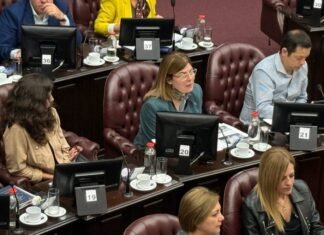 Diputados dio media sanción al nuevo Régimen Penal Juvenil, mientras que la oposición cuestionó la falta de recursos para implementarlo